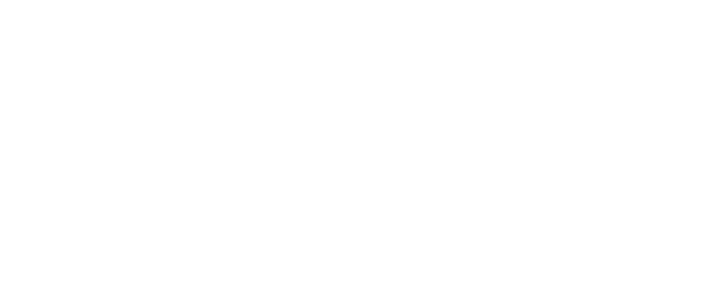 IPP Logo white